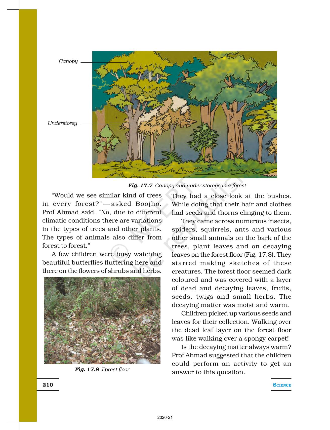 Forests Our Lifeline - NCERT Book Of Class 7 Science